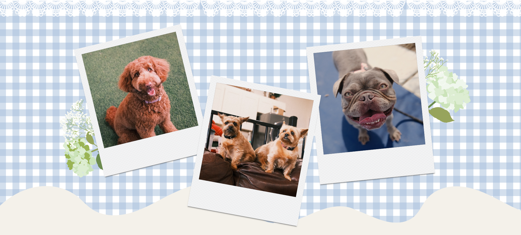 slider image 1621243260e1af0c20-0