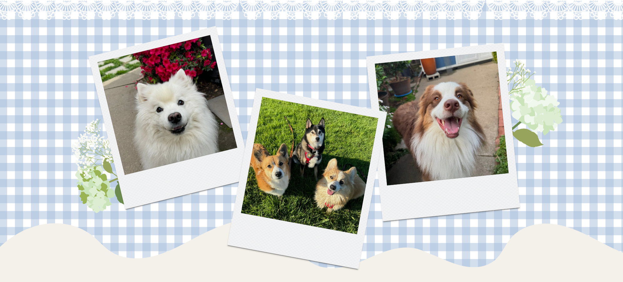 slider image 1621243260e1af0c20-0