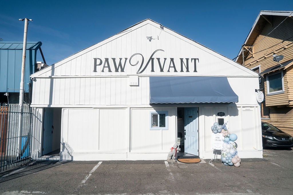 Happy dog at Paw Vivant