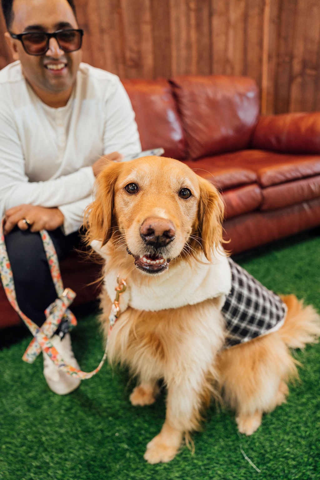 Happy dog at Paw Vivant