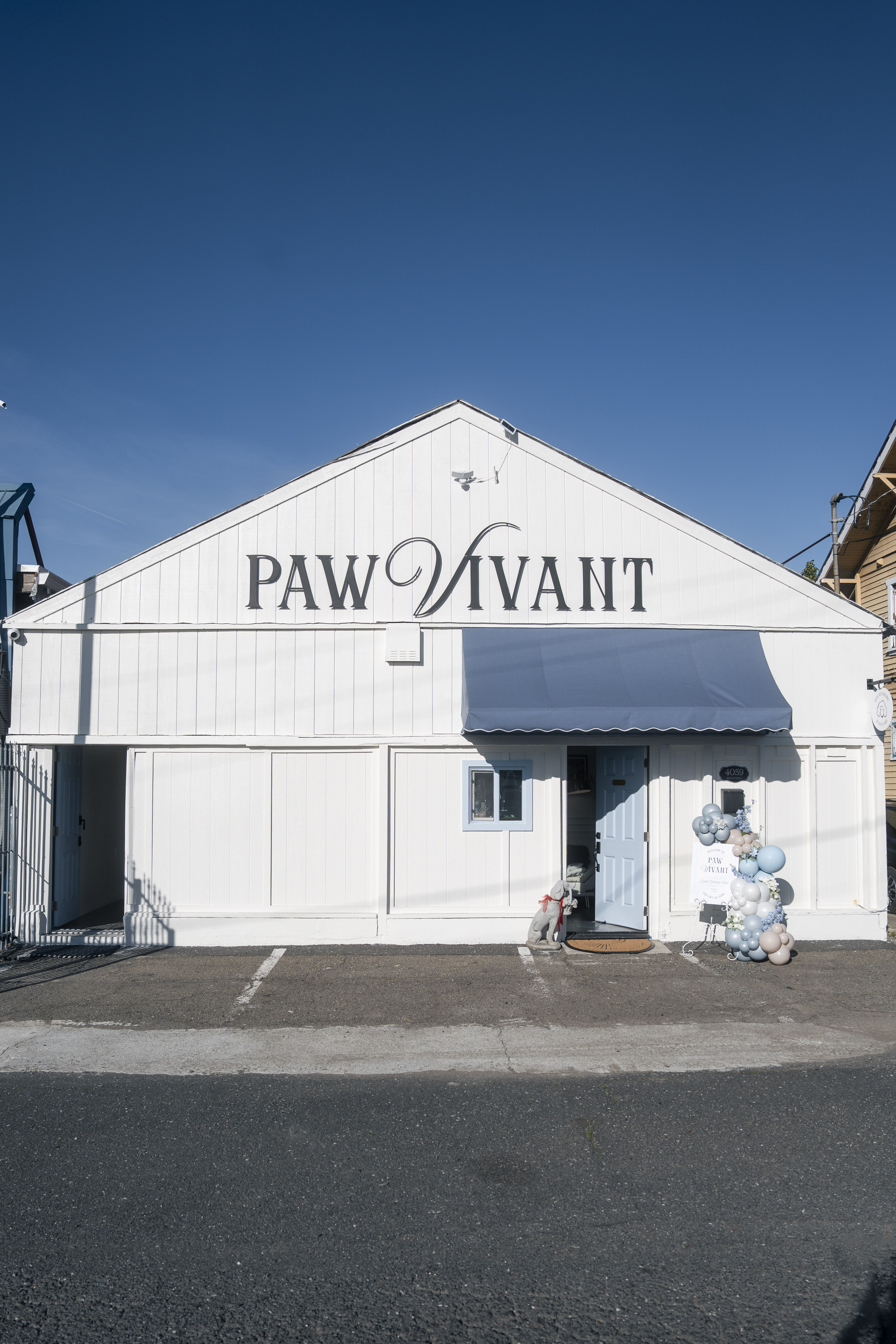 Paw Vivant space